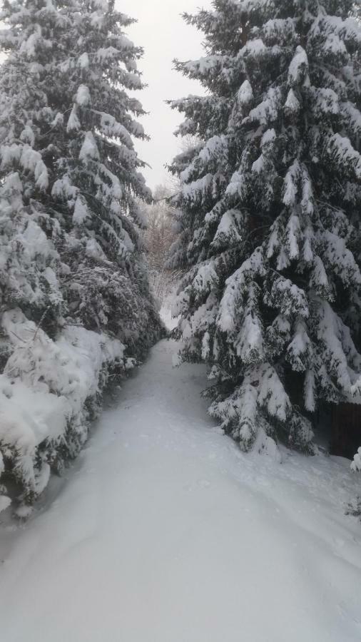Chata Linia Kokava nad Rimavicou Esterno foto